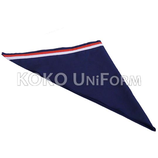 Scout Scarf.jpg