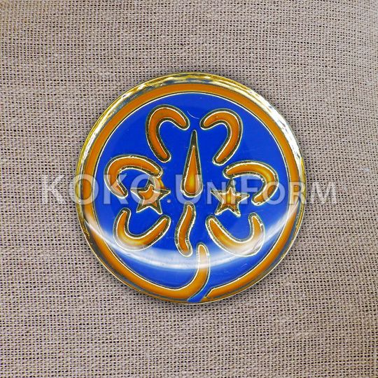 Pandu Puteri World Badge.jpg