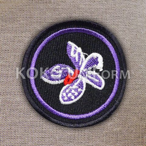 Pandu Puteri Badge 4.jpg