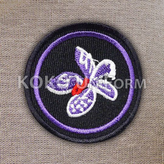 Pandu Puteri Badge 4.jpg