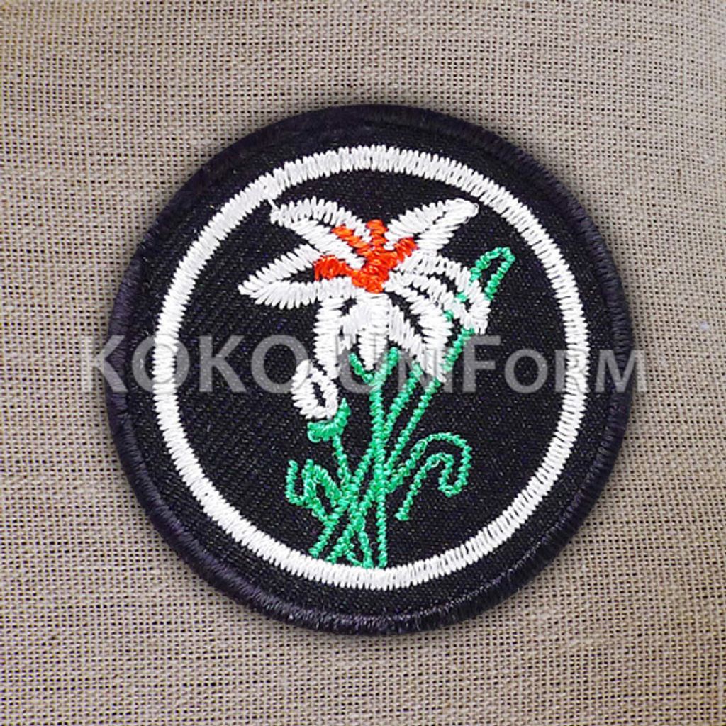 Pandu Puteri Badge 6.jpg