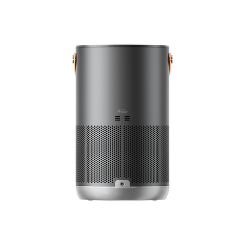 P1 Black Back View.png