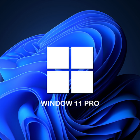 Window 11 Pro 1.png