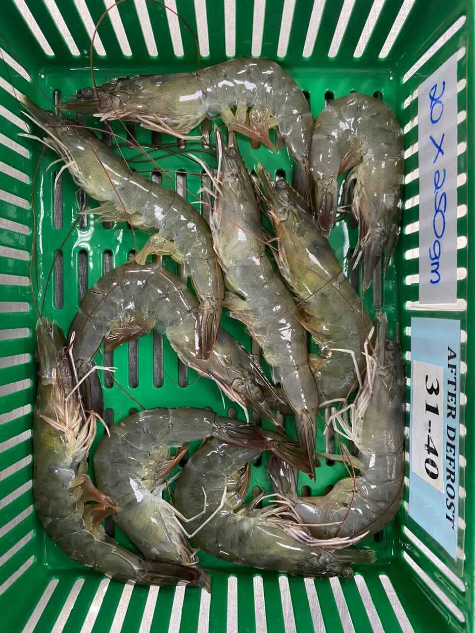 WhatsApp Image 2024-01-04 at 09.30.03_b44f1e9a