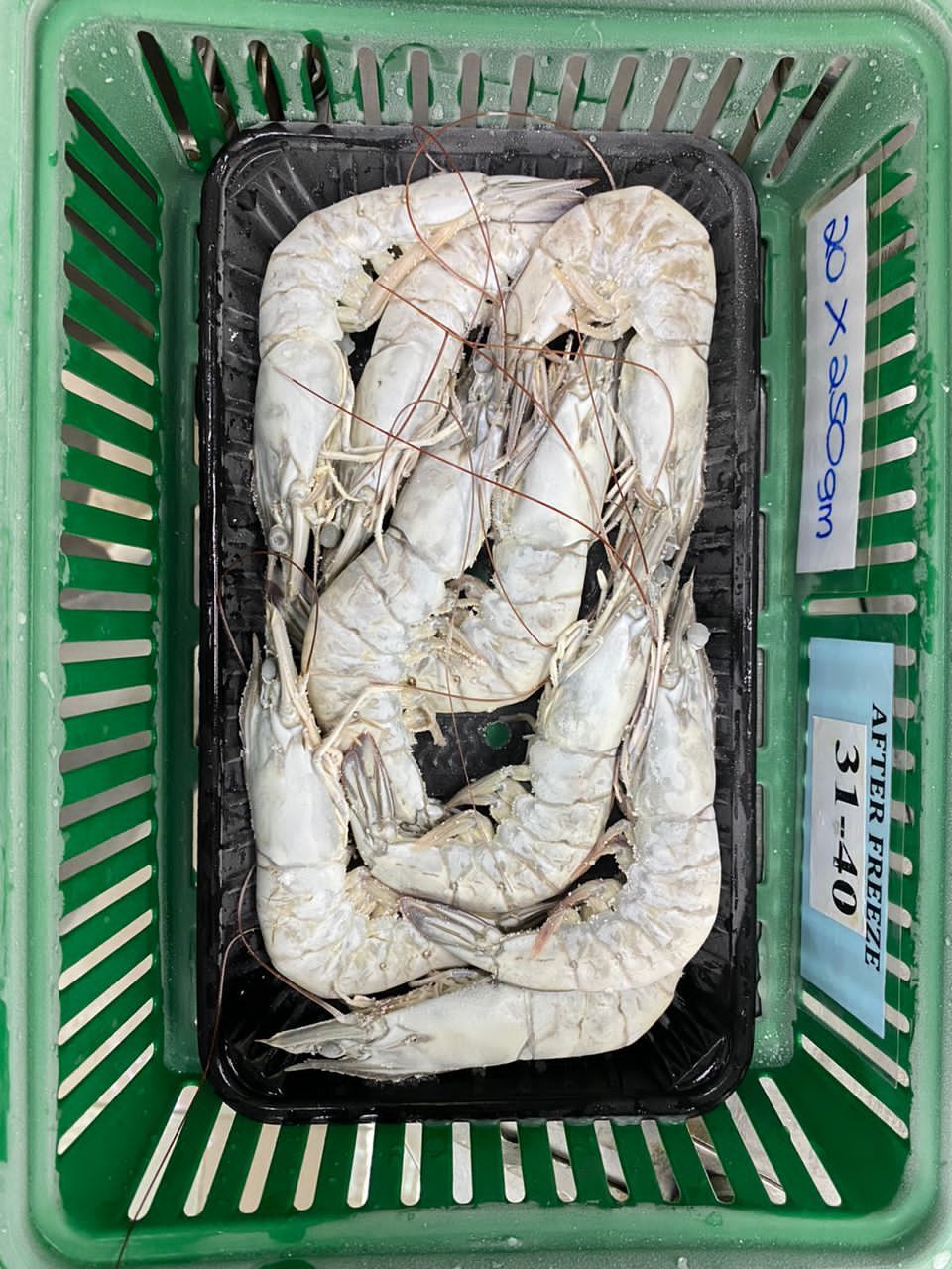 WhatsApp Image 2024-01-04 at 09.30.05_39acfb72