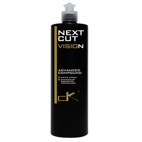 Vision