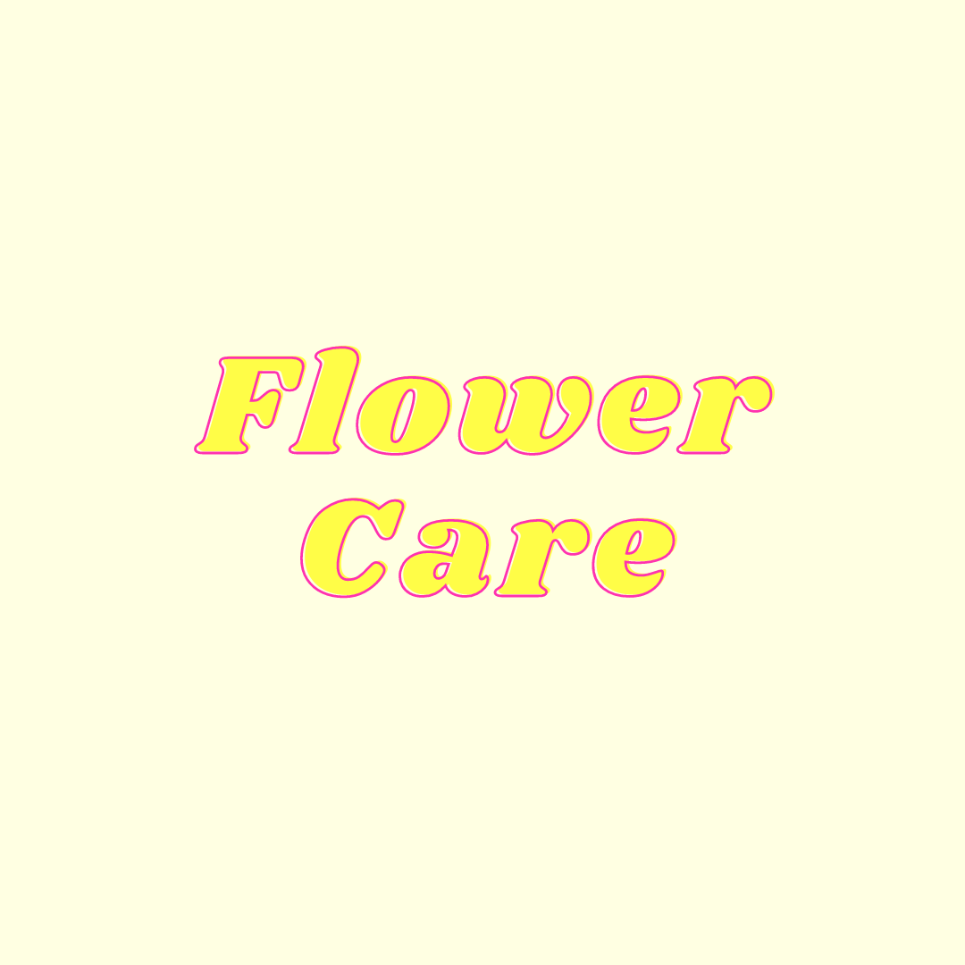 5 Flower Care.png