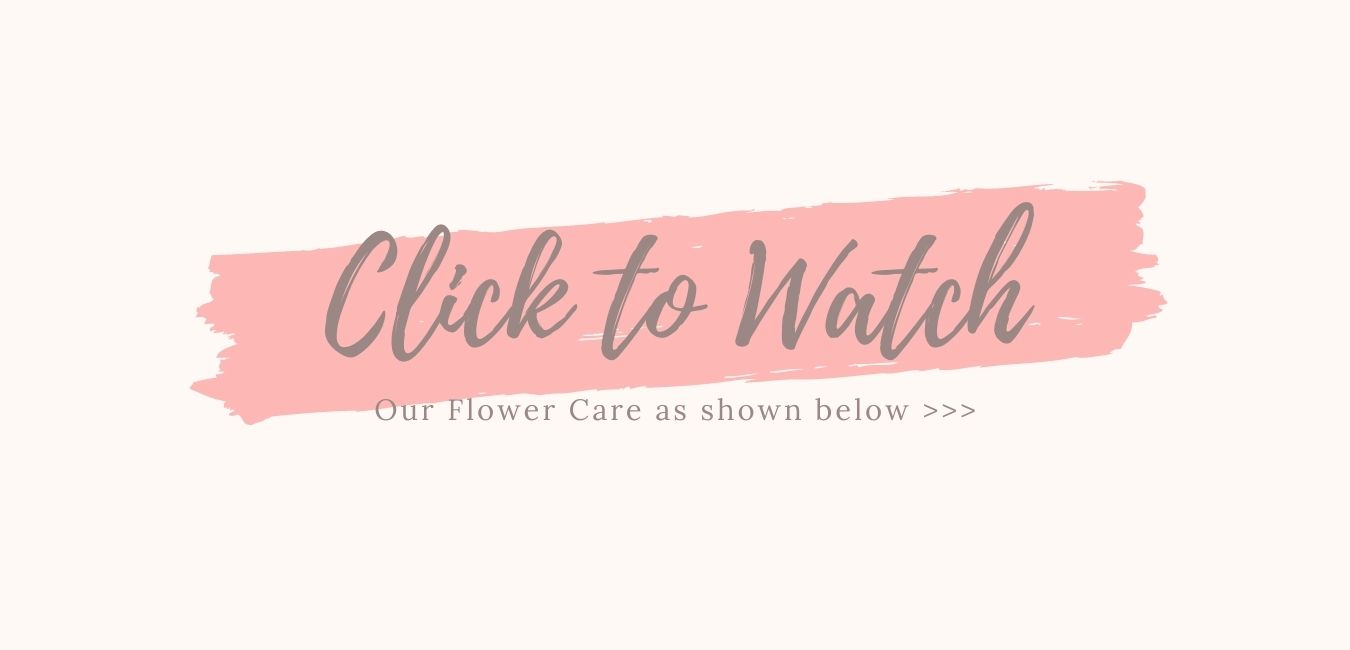 Click to Watch Flower Care.jpg