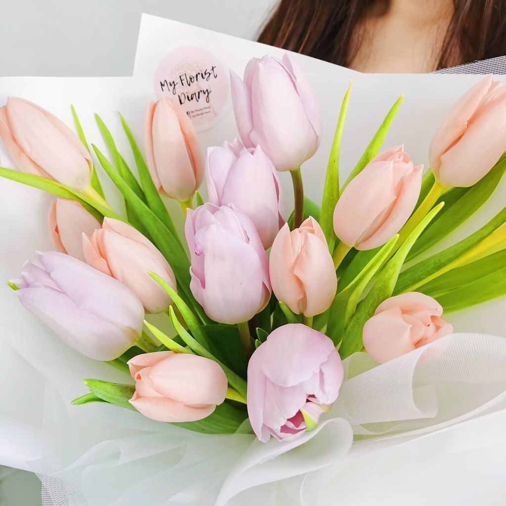 Mix Plain Tulips Bouquet 3.jpg