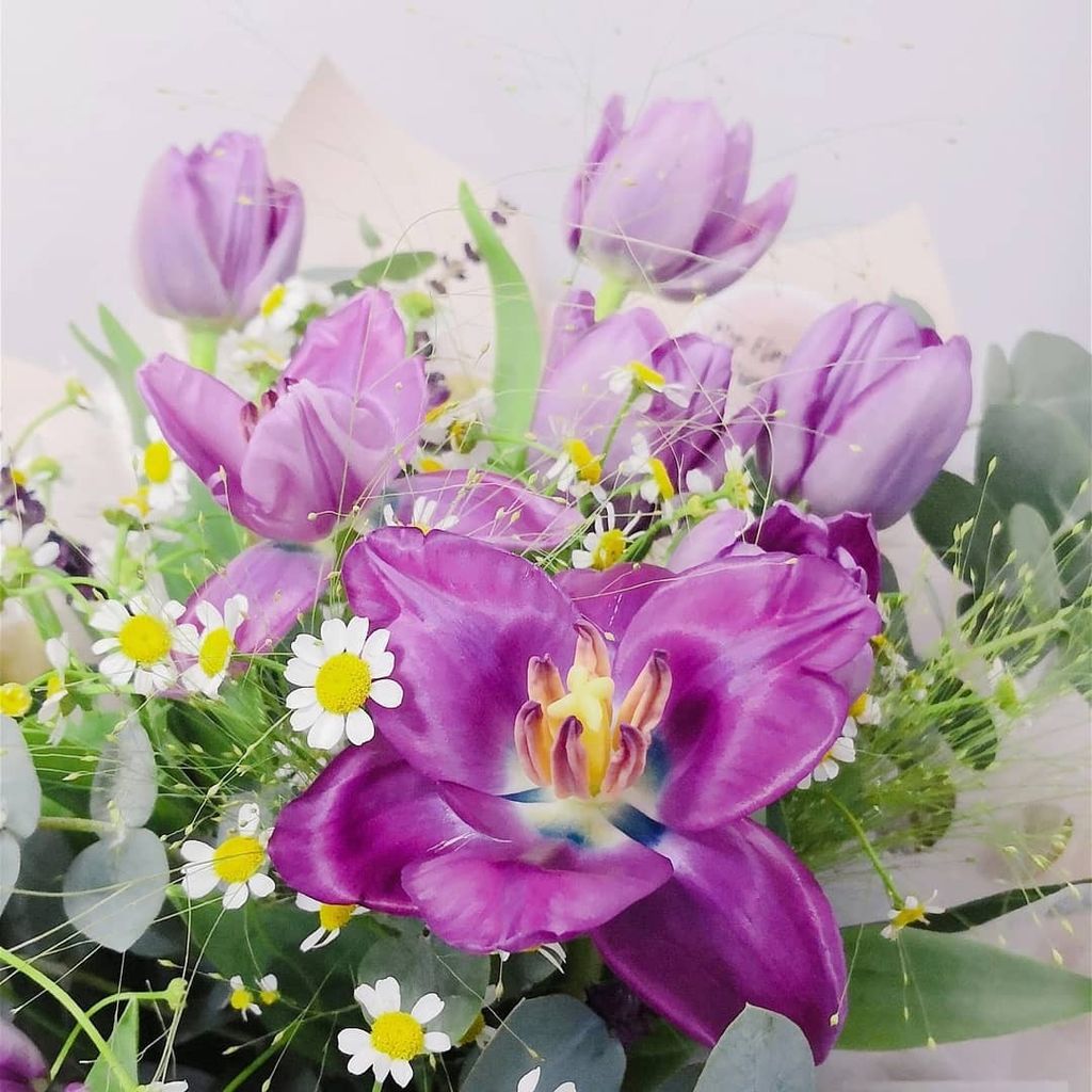 Lilac Tulips Chamomile Bouquet 2.jpg