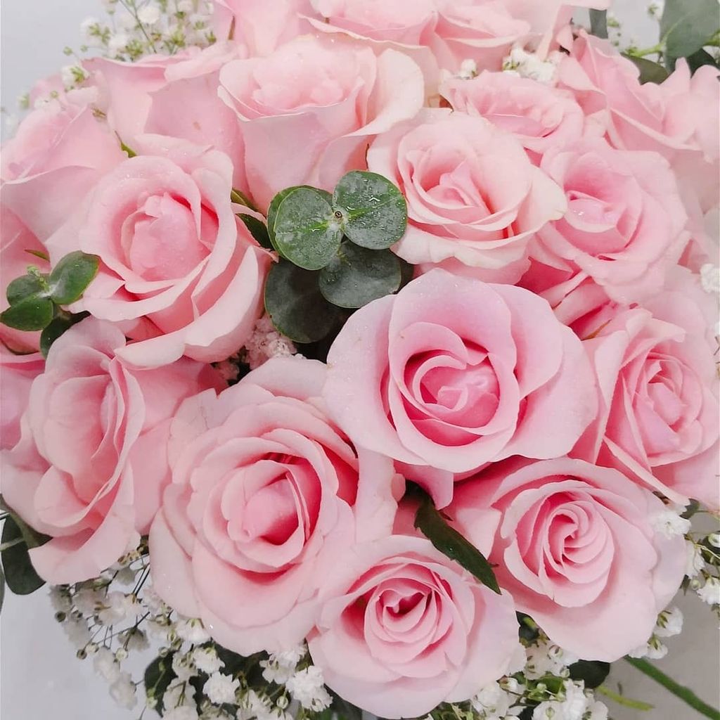 Pink Rose Proposal Bouquet 3.jpg
