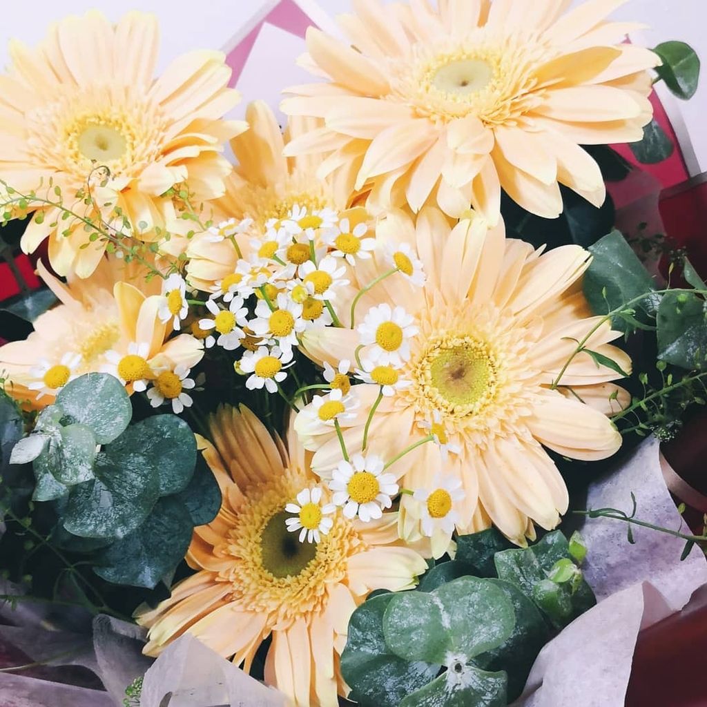 Gerbera Daisy Bouquet 4.jpg
