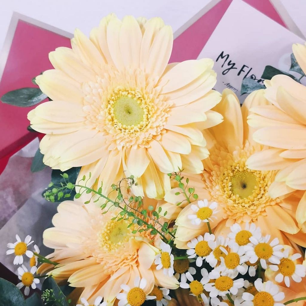 Gerbera Daisy Bouquet 3.jpg