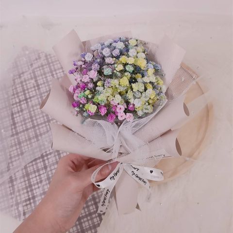 Mini Rainbow Baby Breath 1.jpg