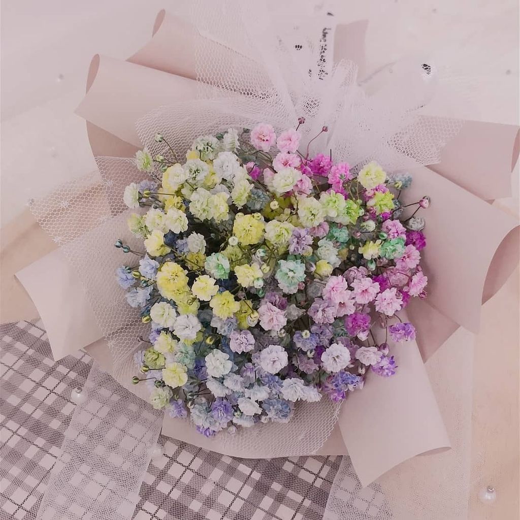 Mini Rainbow Baby Breath.jpg