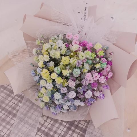 Mini Rainbow Baby Breath.jpg