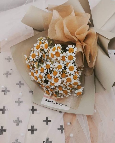 Mini Chamomile Baby Breath.jpg