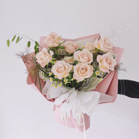 Modica Pink Manta Rose.jpg