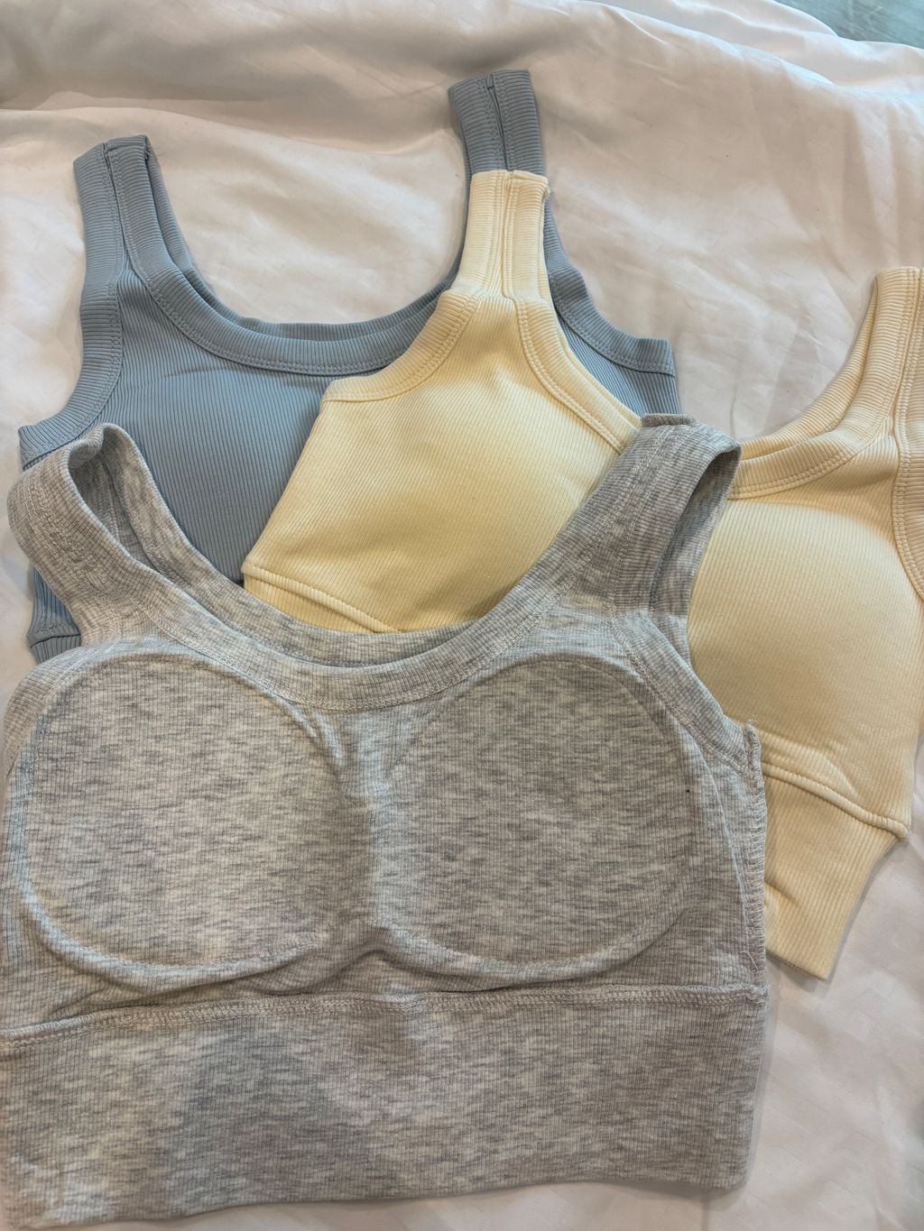 image_0A4A6164-A095-4596-9EDC-D0FEBCAC4166_1762326354