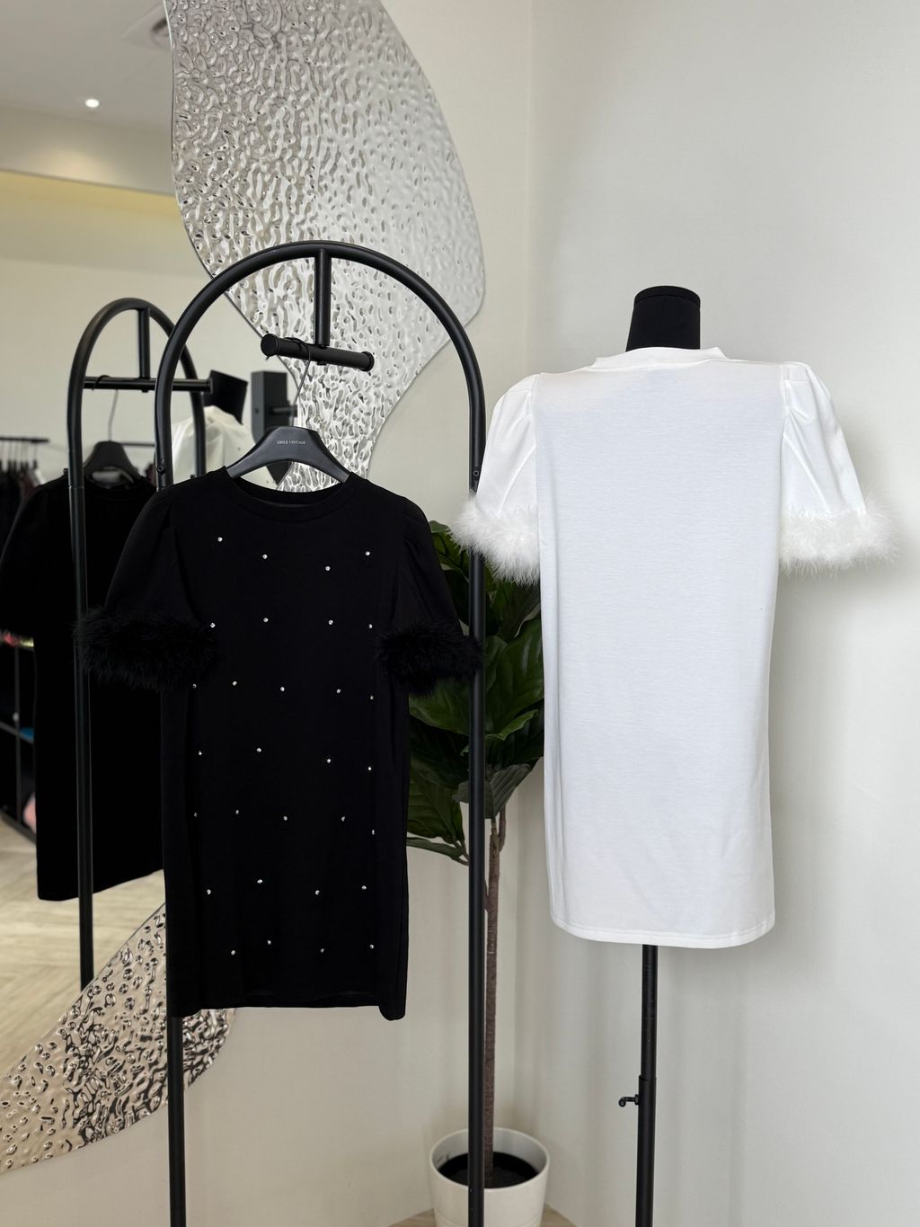 image_93C43609-1E66-4685-AF07-212390BE828F_1762681703