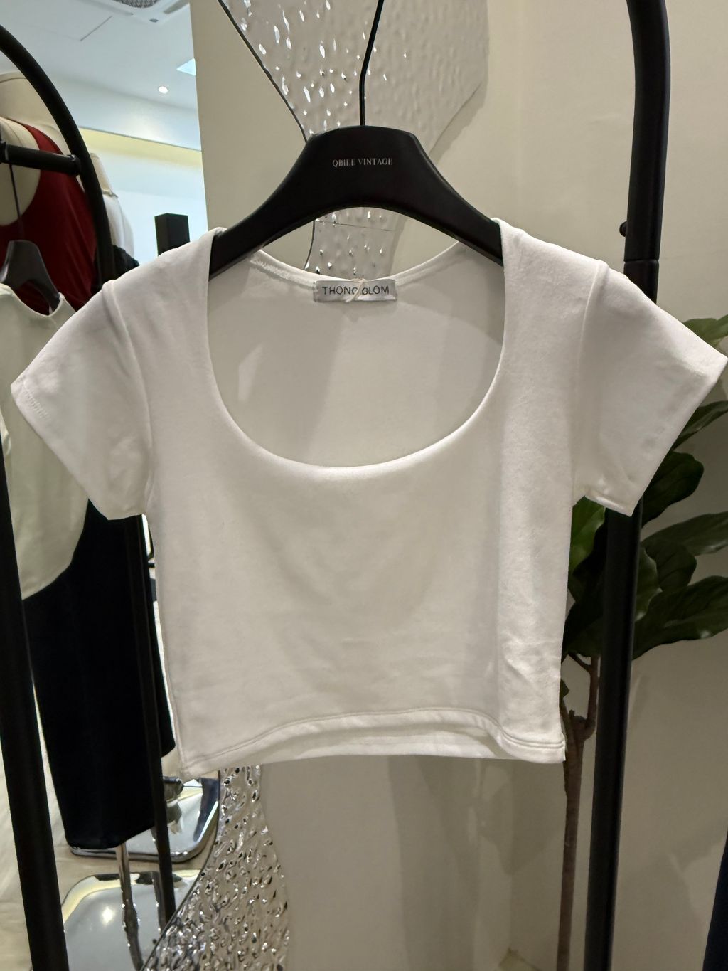 image_1F9763DD-3786-4515-88A4-50445115F20F_1764329030