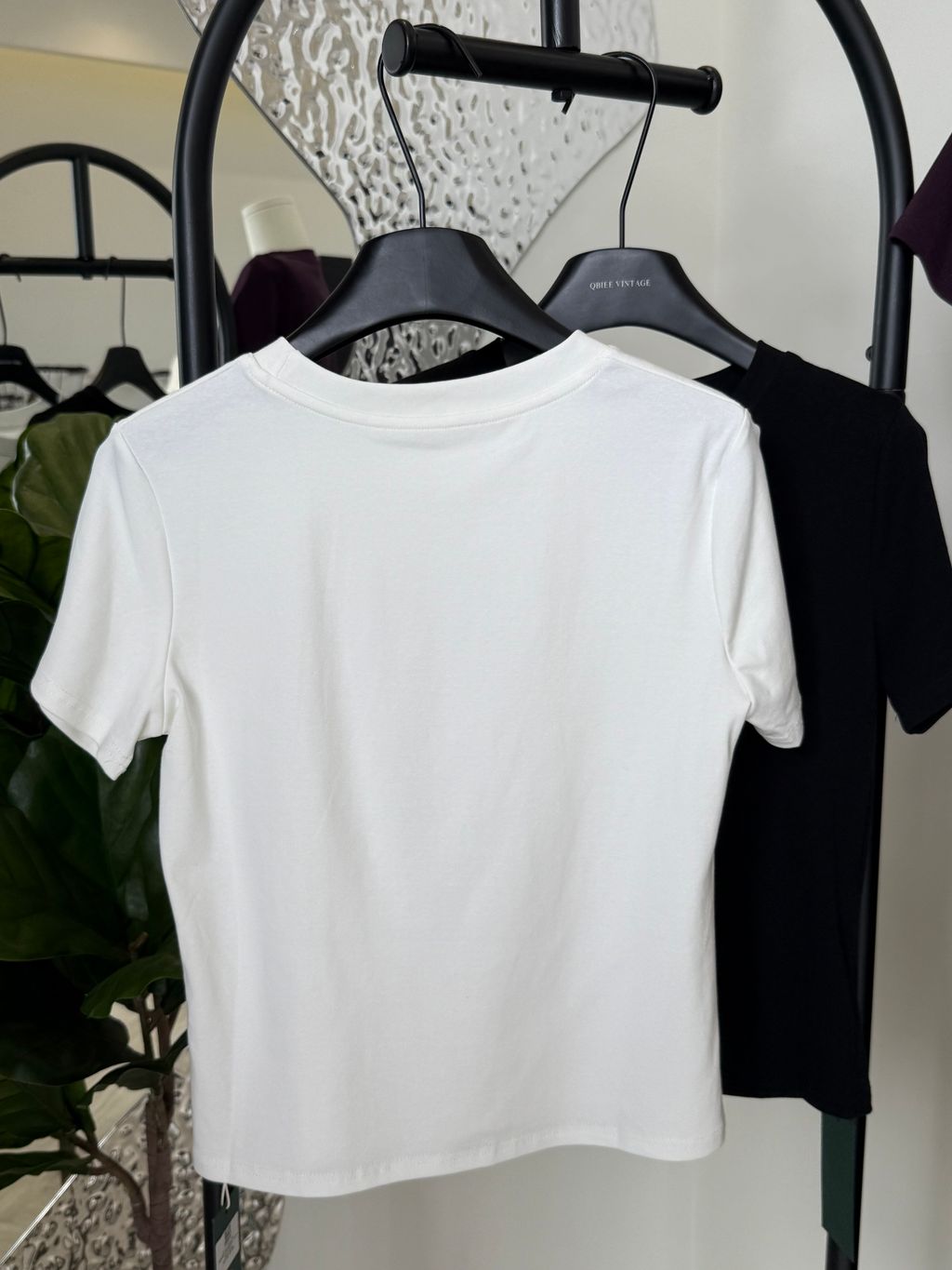 image_37339748-5593-4B6C-A707-98FBDFD99A45_1765172495