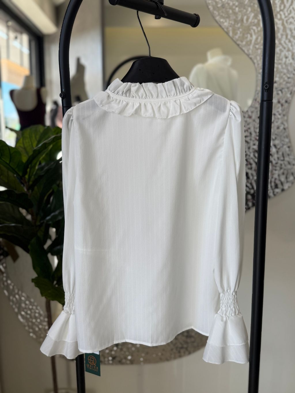 image_2189C9F6-9EF7-4C1D-940F-B79F53F73410_1766316333