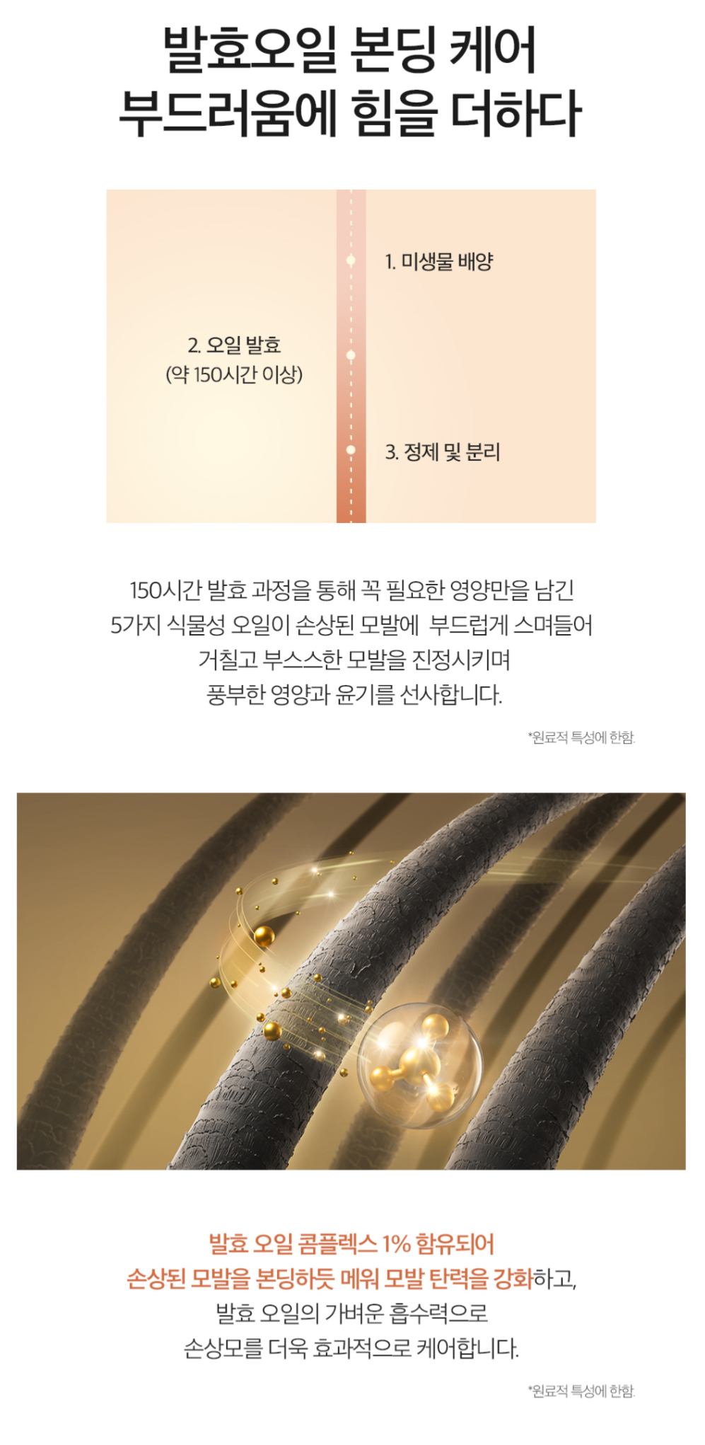 555367321_10162322459958440_6189563743569844969_n (1)