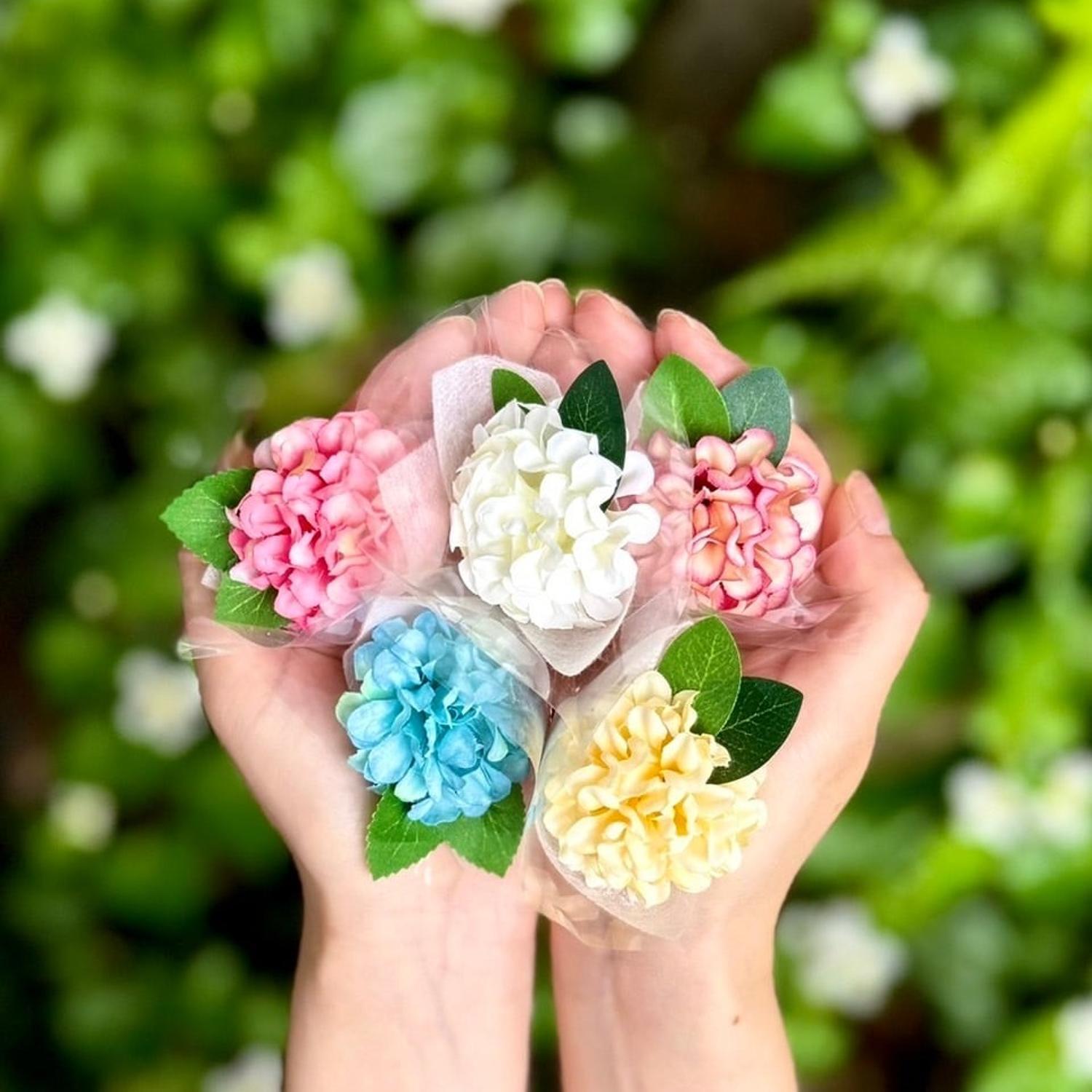 520712537_24513121221646617_3810247680858778401_n