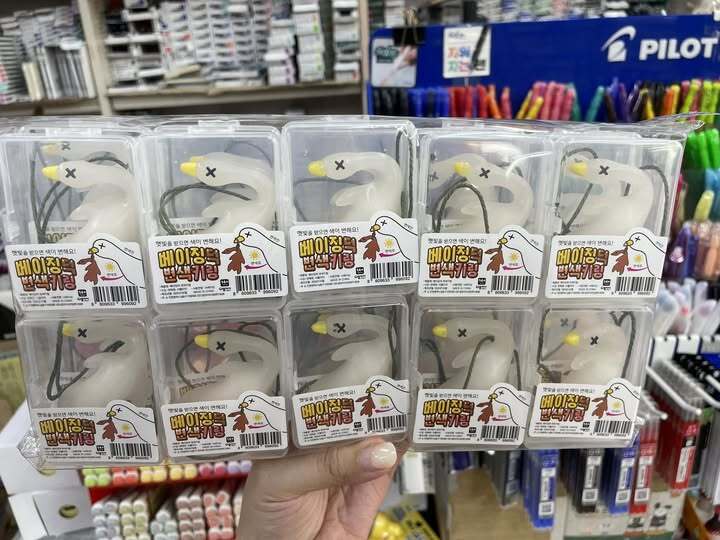 517404721_10162009202548440_7685412676092975981_n