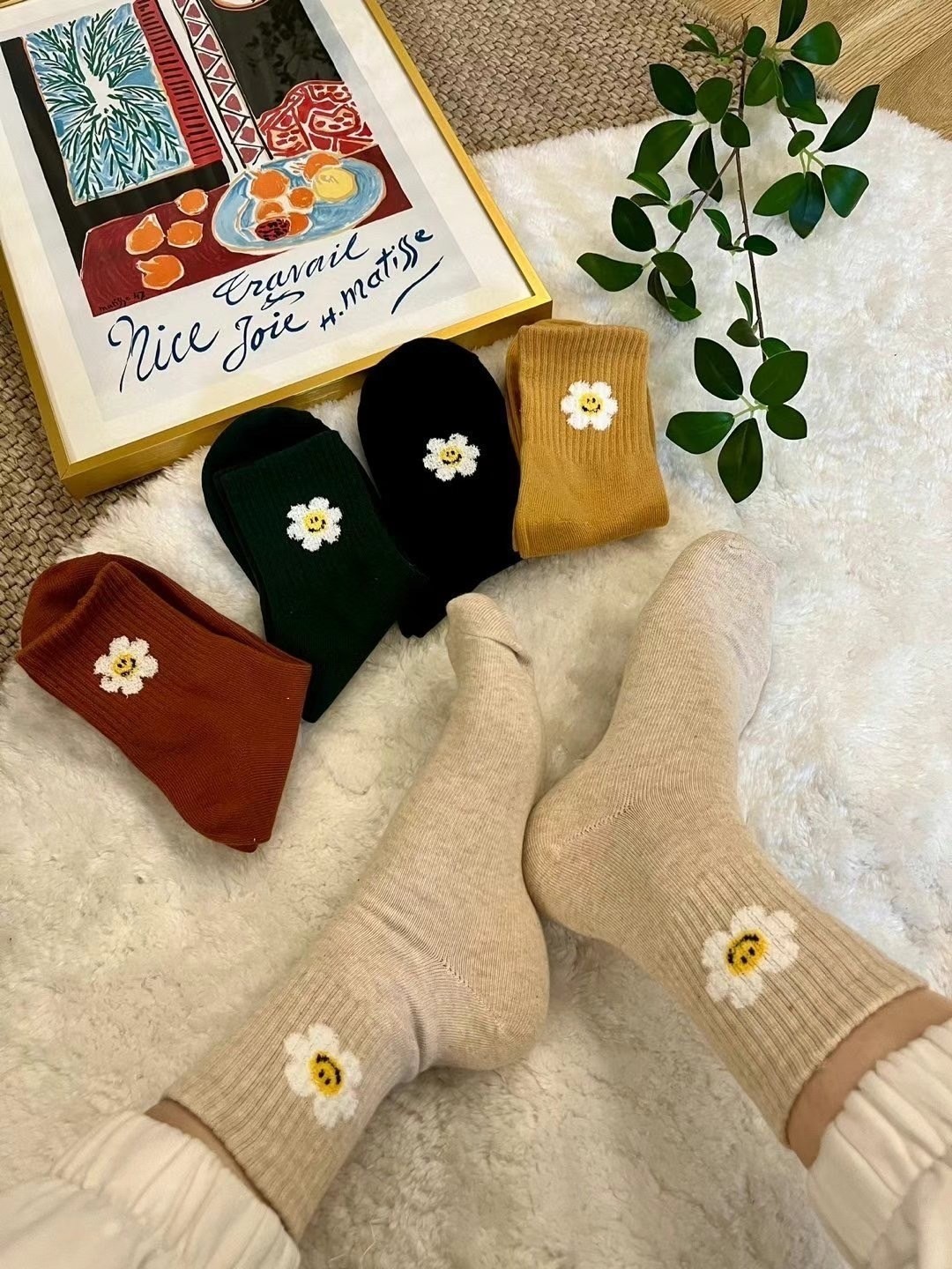 463865109_8894034850648506_7052133705746198986_n