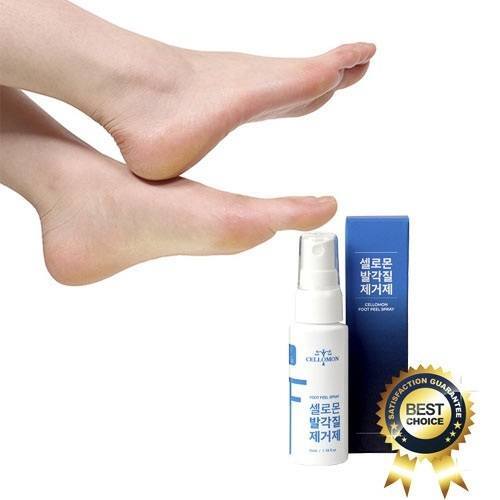 518004827_24436295032662570_5461418272600446492_n