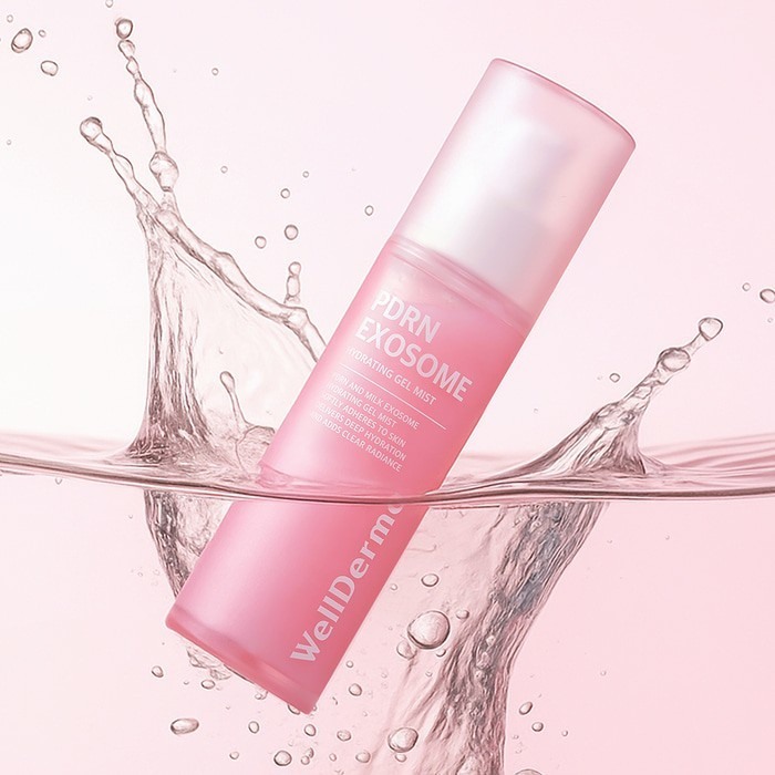 543377807_24868263906132345_8249676219138687368_n