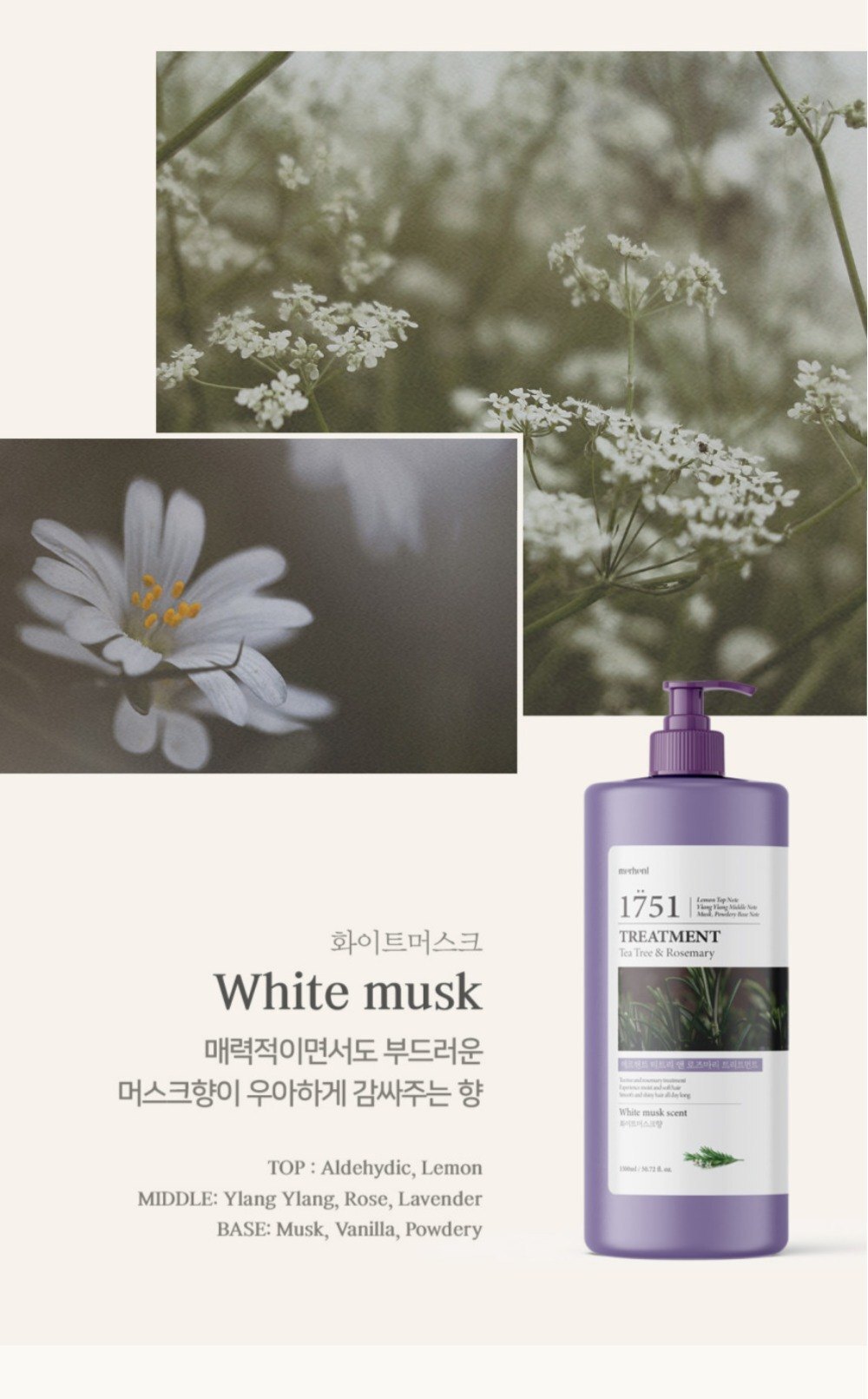 534902581_10162174552323440_2619257315083448663_n