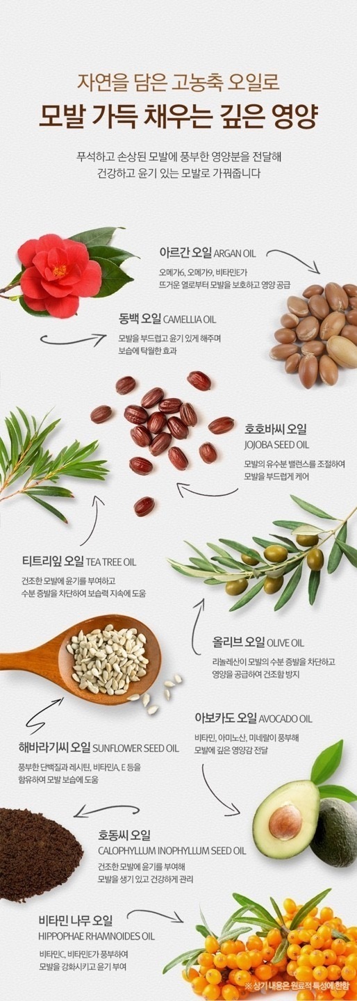 515611399_24359290153696392_3739