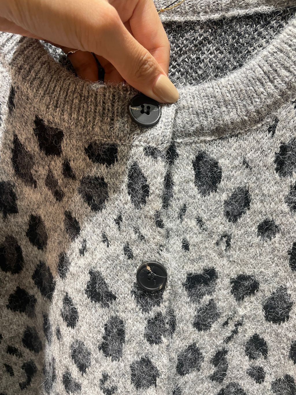 image_D74CE6E2-0984-4D53-9F23-5F41B1BCCE10_1763534714