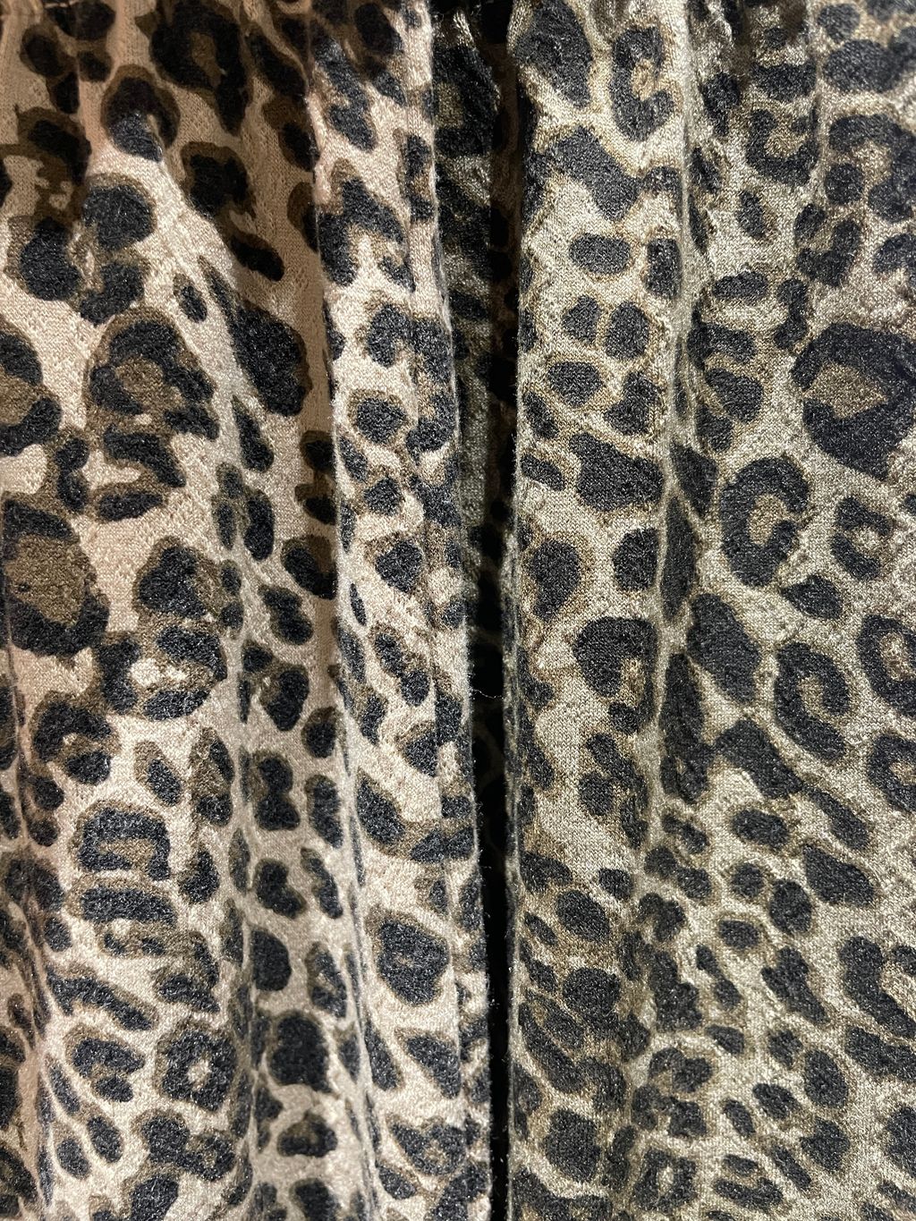 image_0EFF0615-7DD9-4C04-A313-D2F28C6A48F3_1765286762