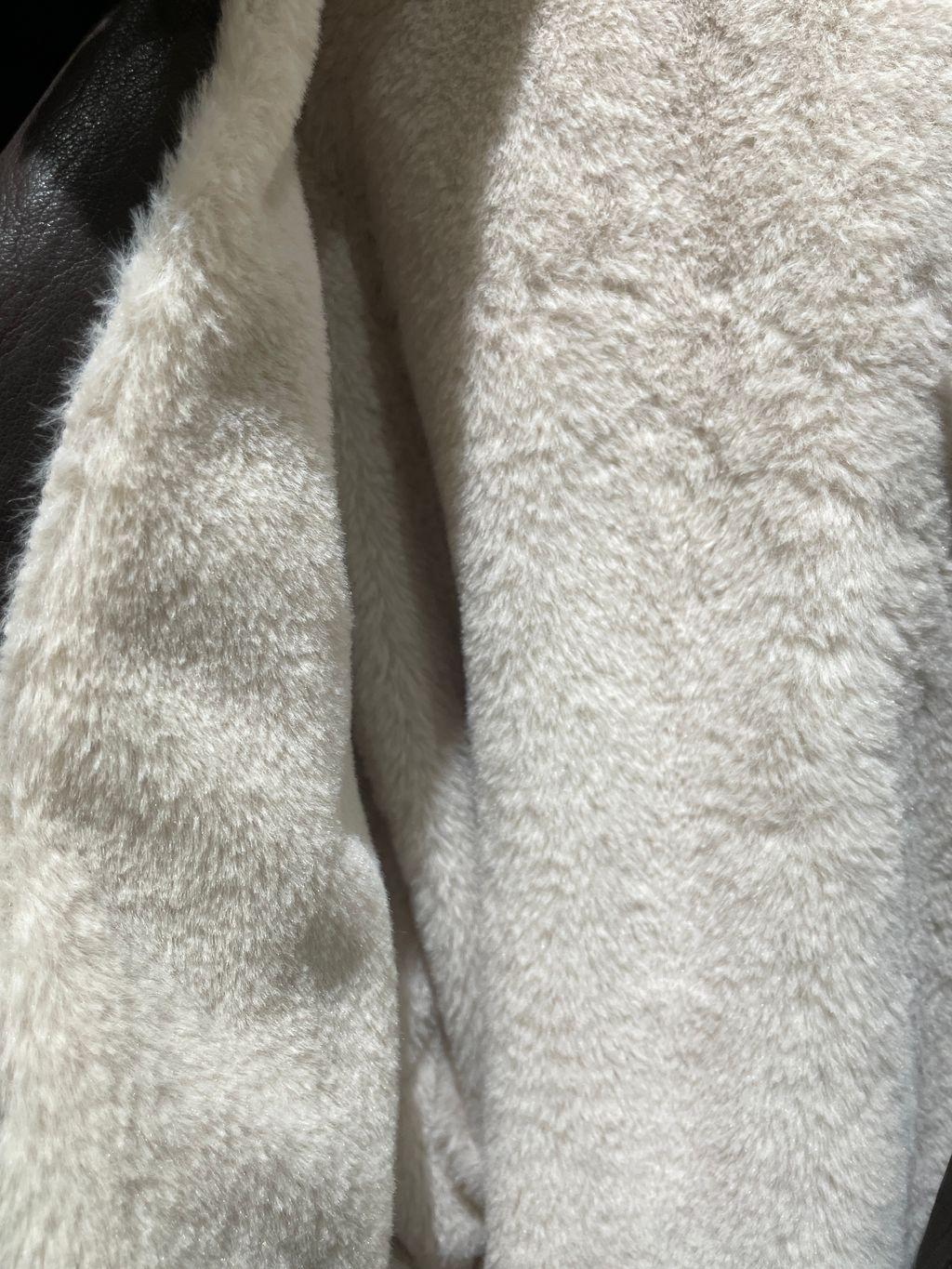 image_EFE06732-4988-4D37-B7DF-2BAAE070950F_1765288588