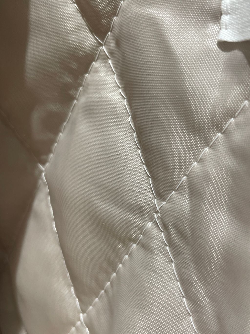 image_E2790D54-298C-44A7-B303-1A6C103F571F_1765611626