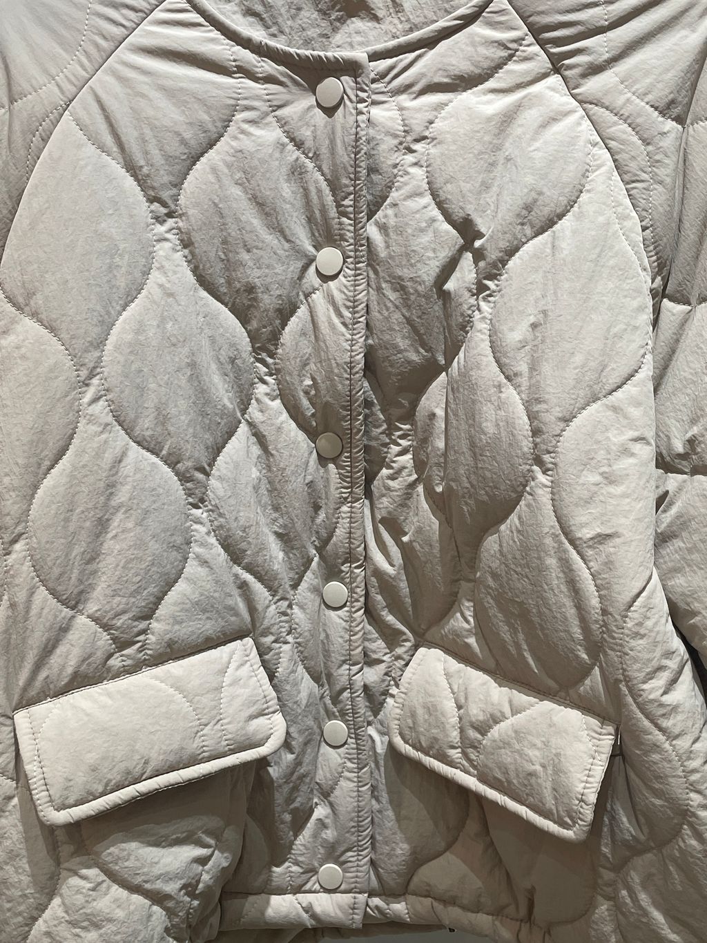 image_393B536F-7ECA-4DCE-8395-C2767F27346F_1767256820