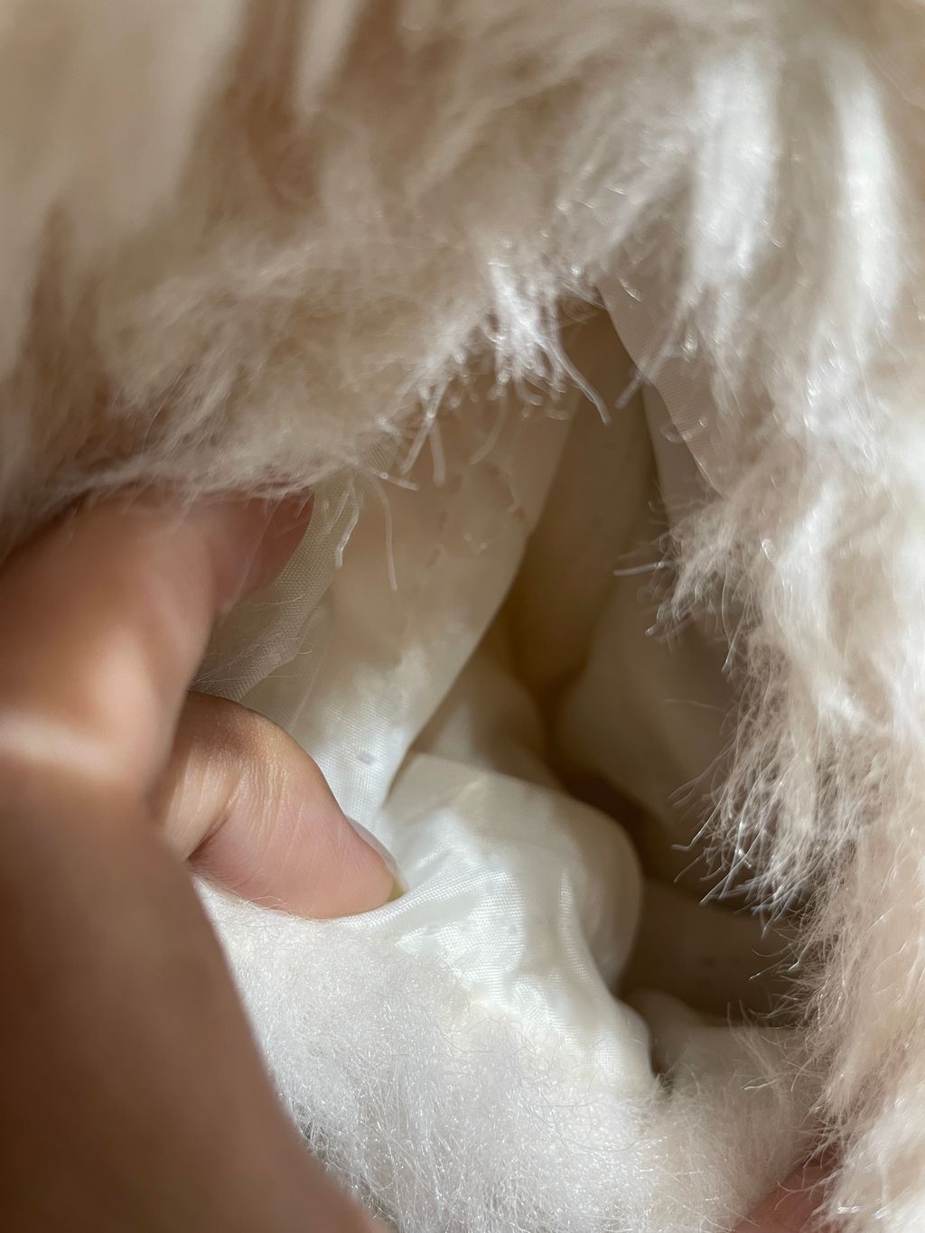 image_708377E2-0BBA-47E1-A17A-6CE43A624297_1768810838