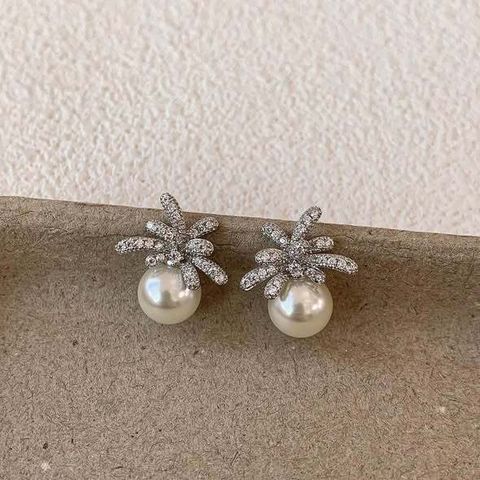 652889081_1438766214953583_2217774658577403685_n