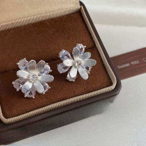 674621786_1471355525027985_404693681271959103_n