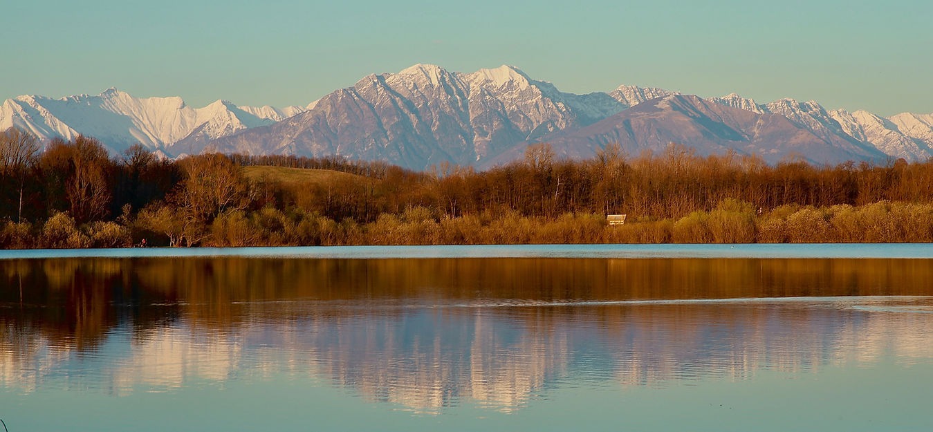 d8328d_6a863af5f1da4b3eb6b2fab7a