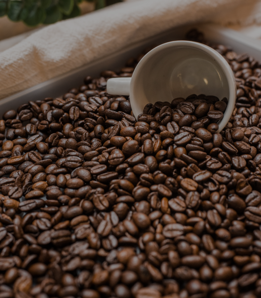 espressolab asia pacific | discover our products - roasted coffee beans
