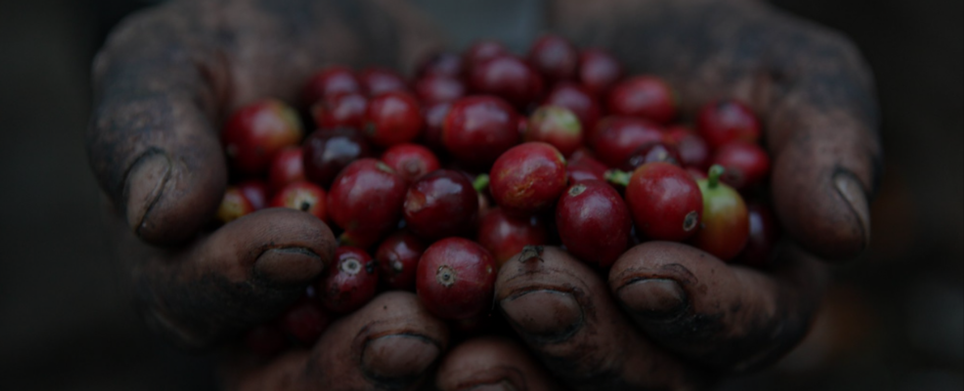 espressolab asia pacific | sign up to enjoy exclusive deals