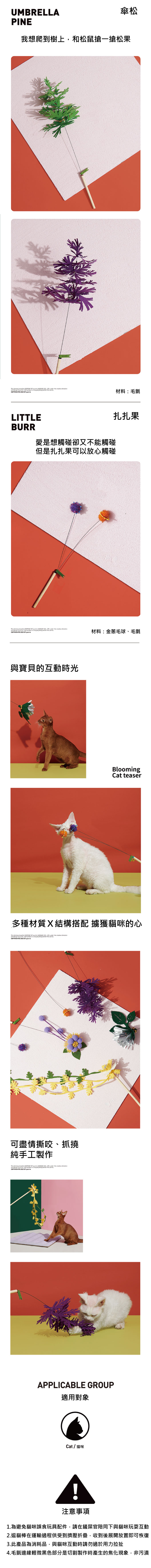 逗貓棒2.jpg