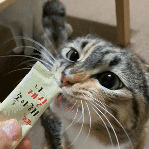 나게살-좋아해_03_shop1_164356.gif 나게살-좋아해_03_shop1_164356.gif