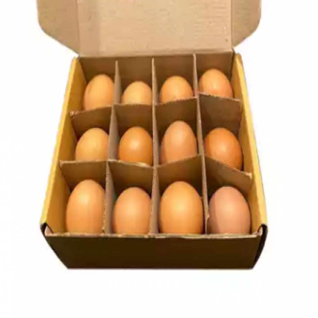 egg_20200415162133.png