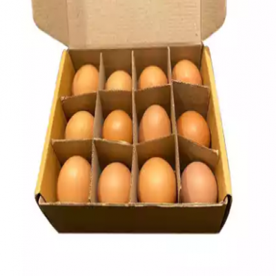 egg_20200415162133.png